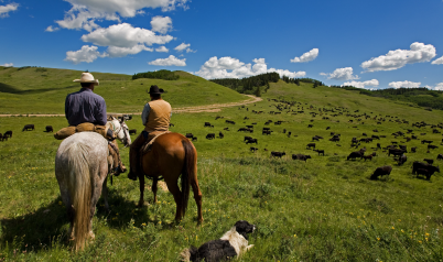 Farm-Ranch-terms