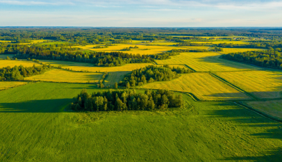 Land-Real-Estate